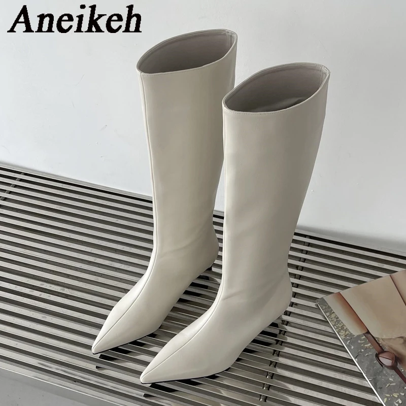 Aneikeh 2027 Fashion Sexy Poin - Women'S Fashion Knee High Boots review and price